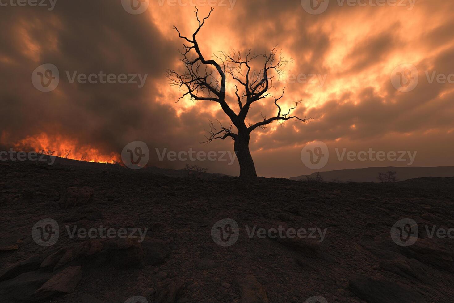 A tree stands in the middle of a field with a fire in the background photo