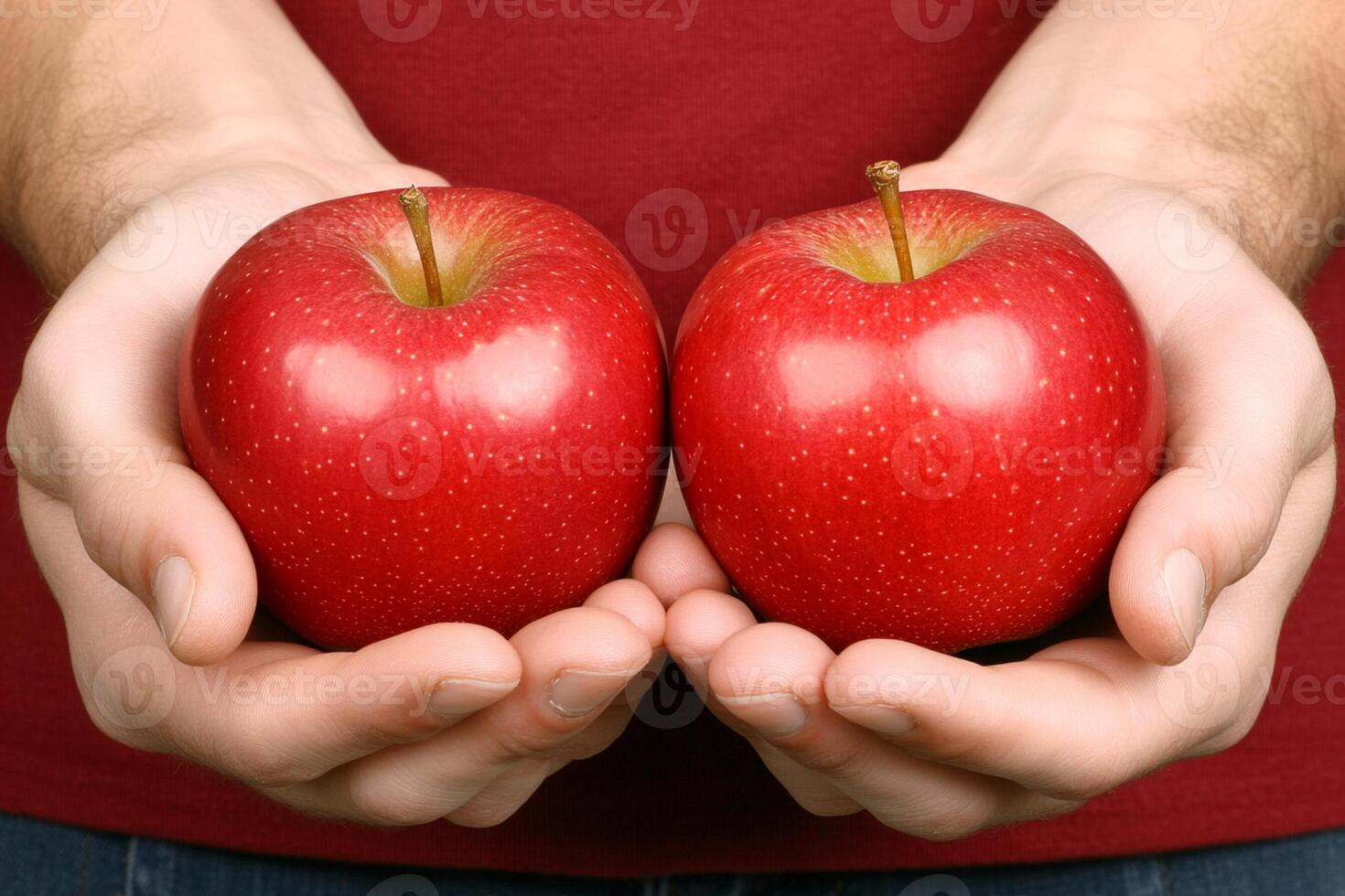 Two hands holding two red apples photo