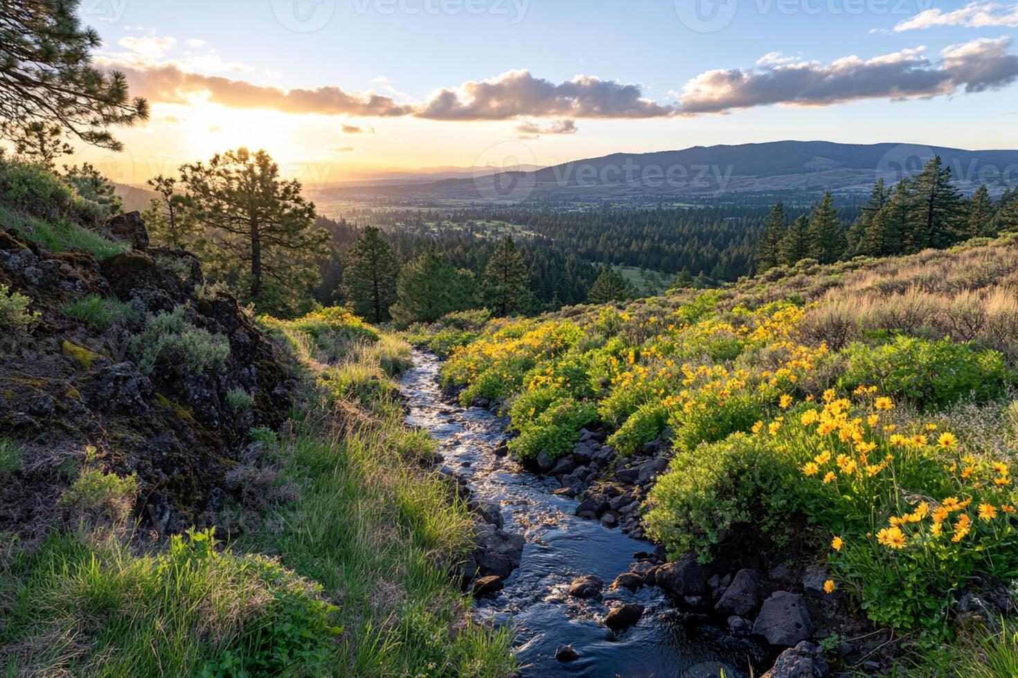 A stream runs through a valley with yellow flowers photo