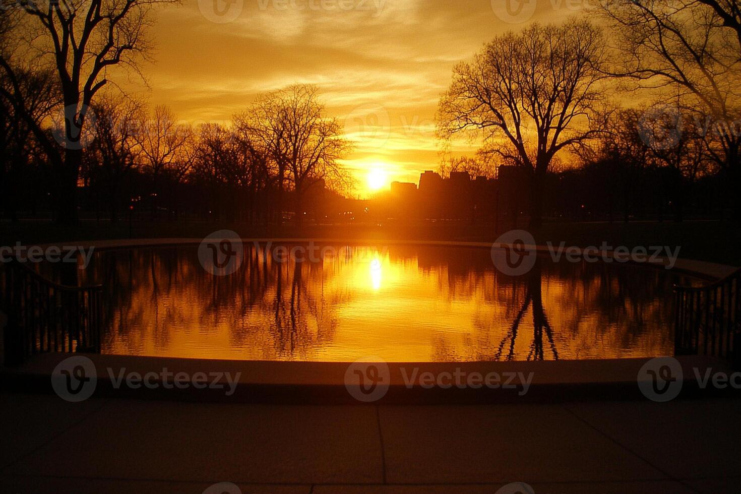 A sunset over a pond with trees in the background photo