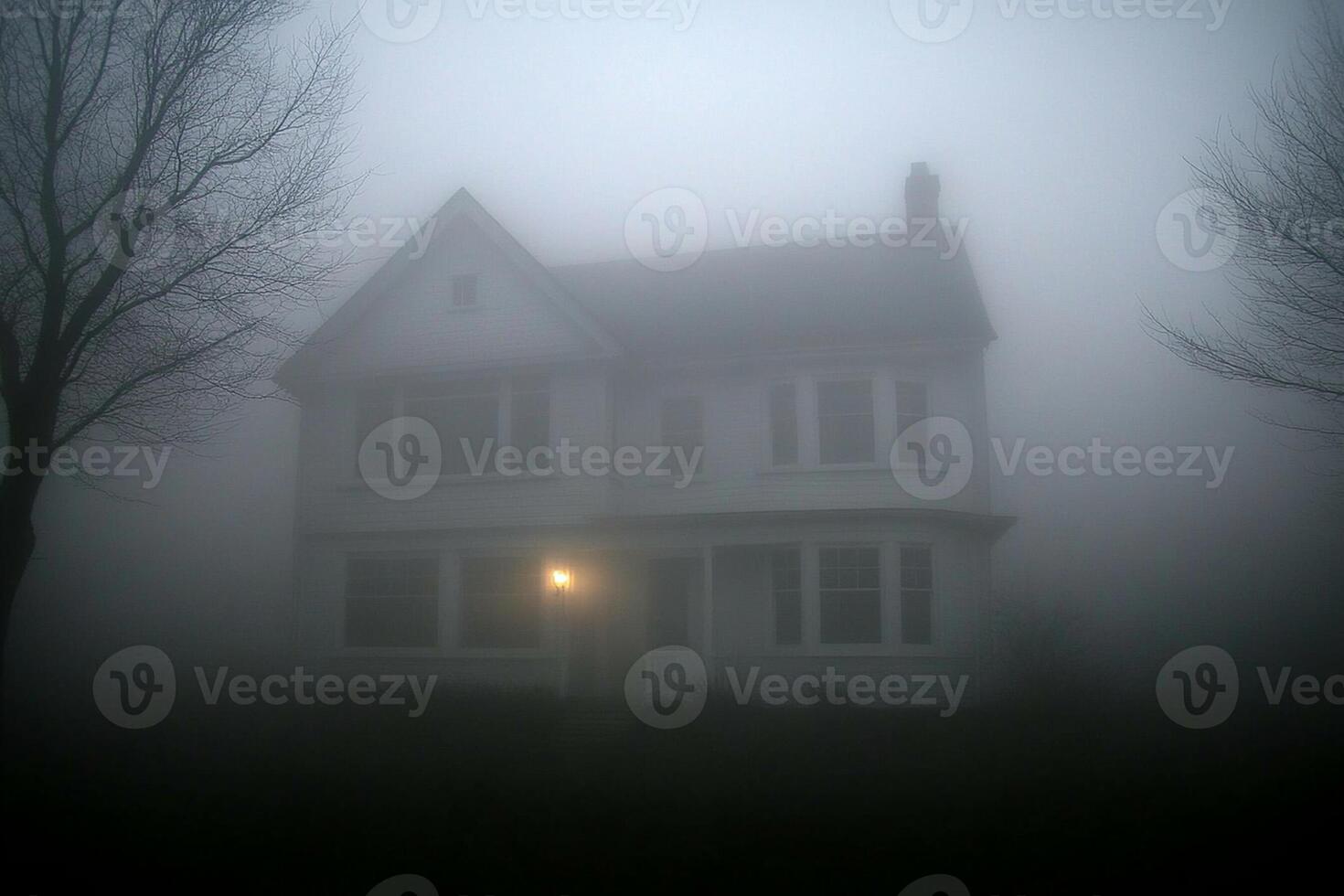 A house in the fog with a light on photo