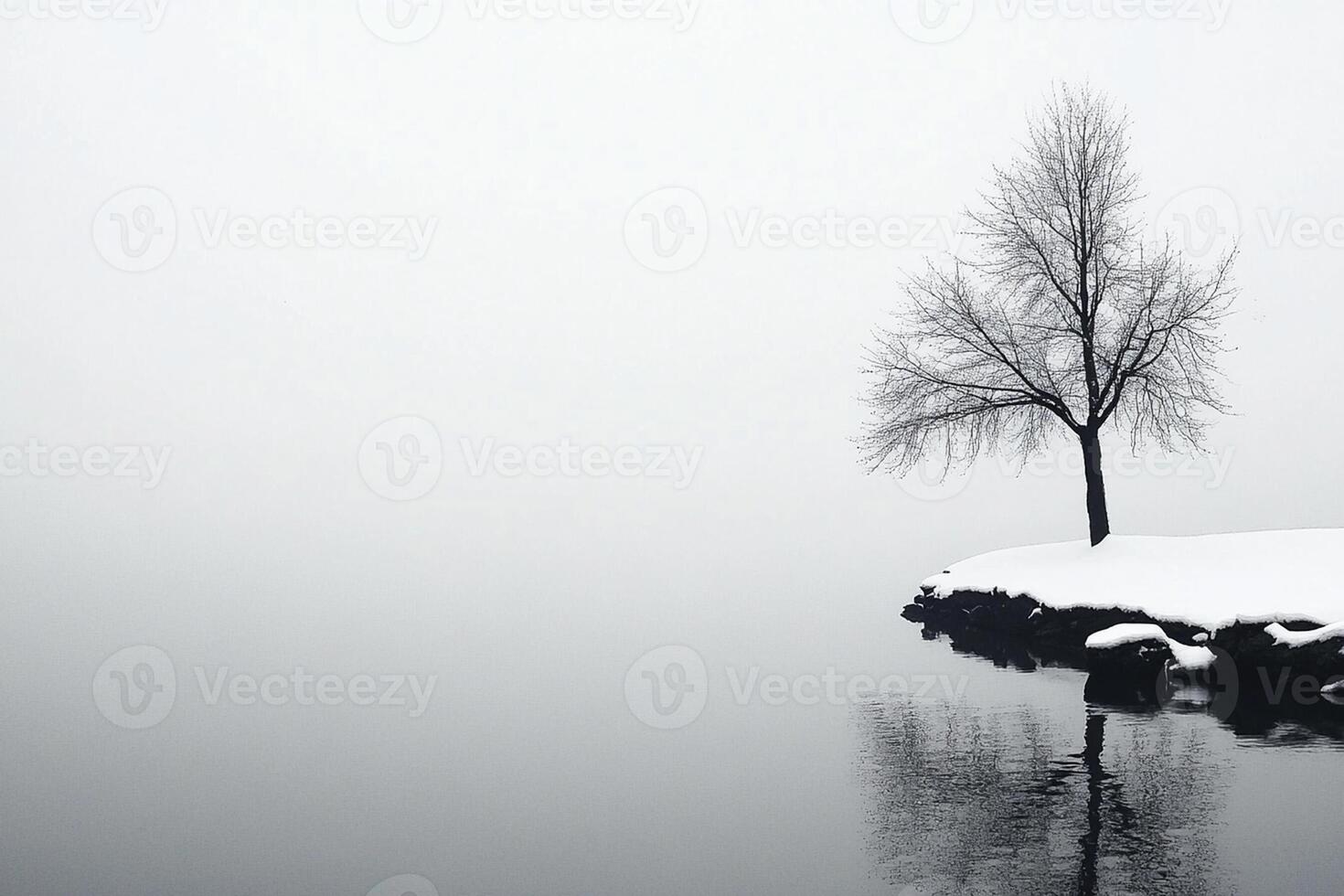 A lone tree stands on a snowy shore photo