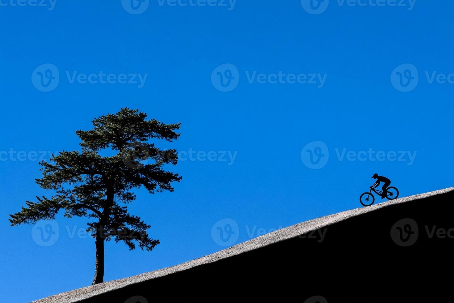 A person riding a mountain bike on a hill photo