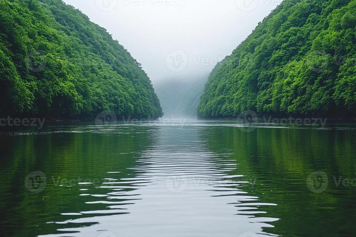 A river surrounded by trees on a foggy day photo