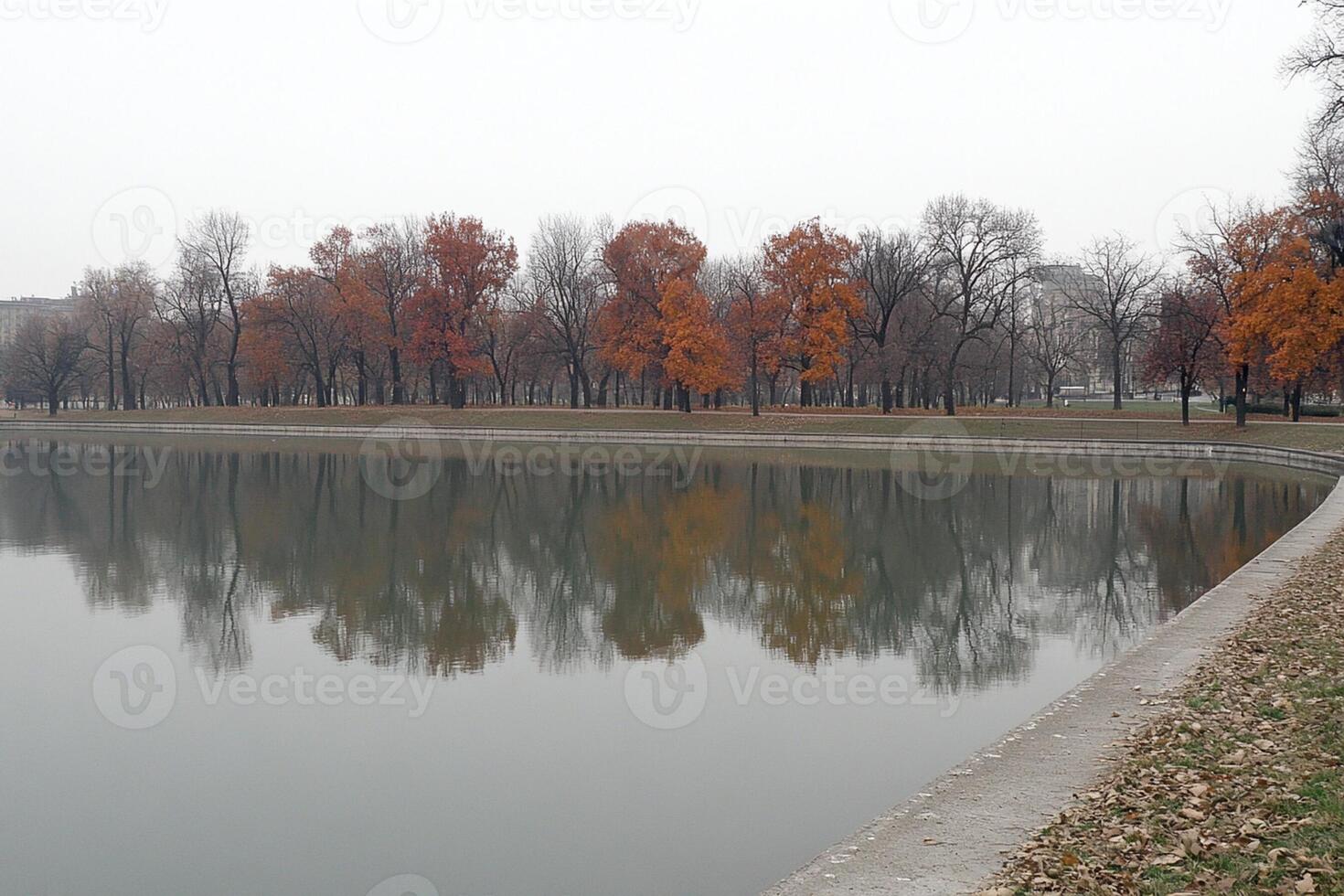 A park with a lake and trees in the background photo