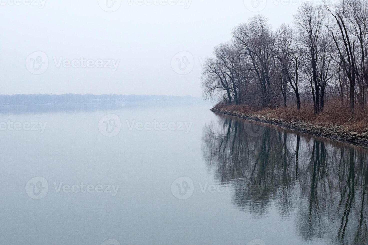 A river with trees and a foggy day photo