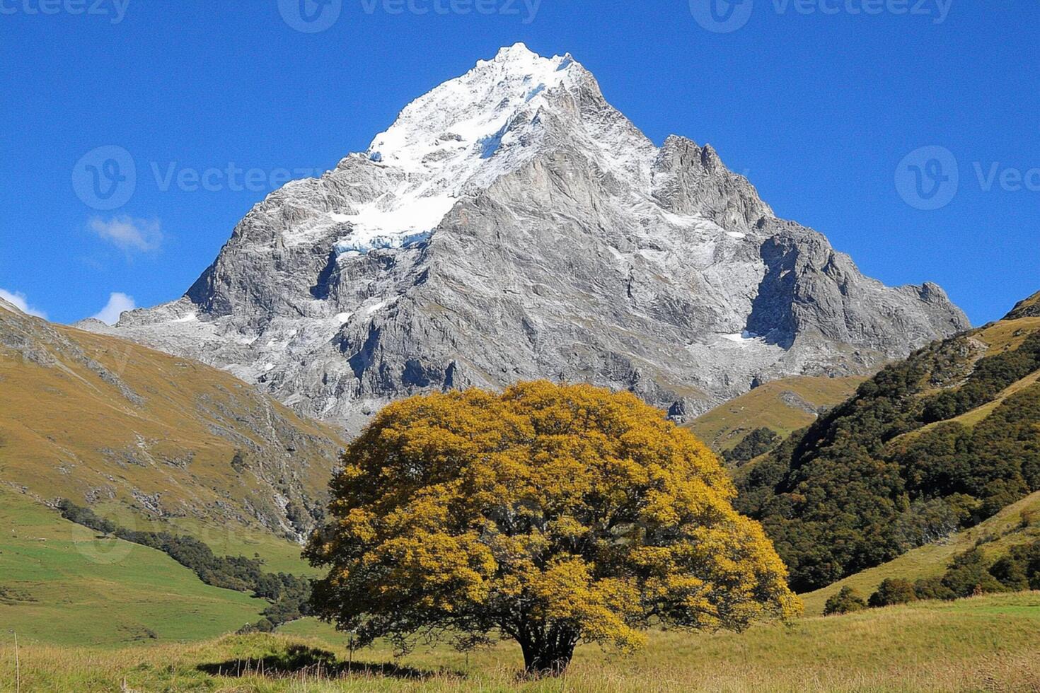 A large mountain with a tree in front of it photo