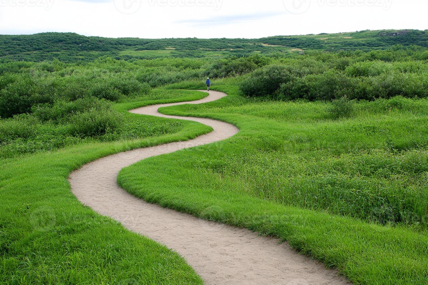 A person is walking on a path in a field photo