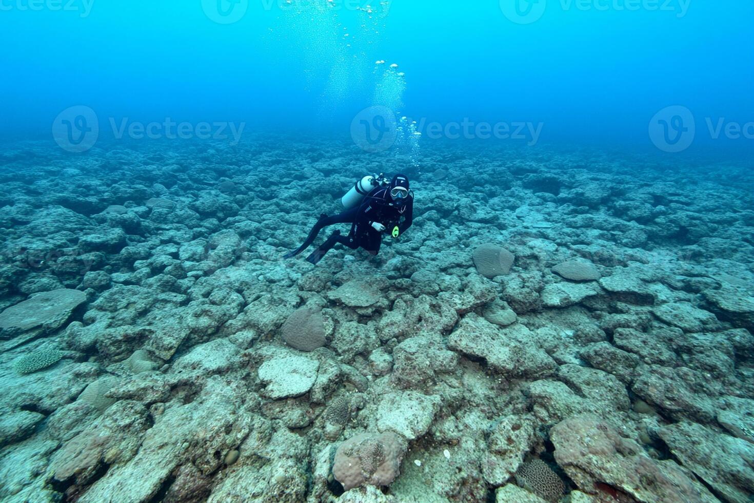 A scuba diver in the ocean near some rocks photo