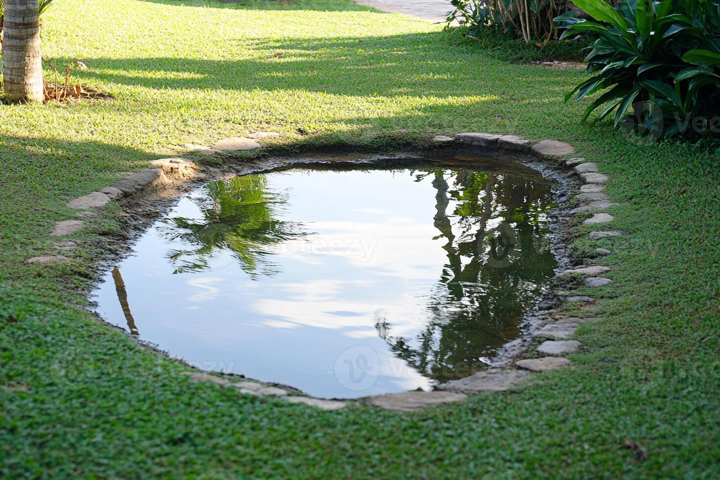 A small pond in a grassy area photo