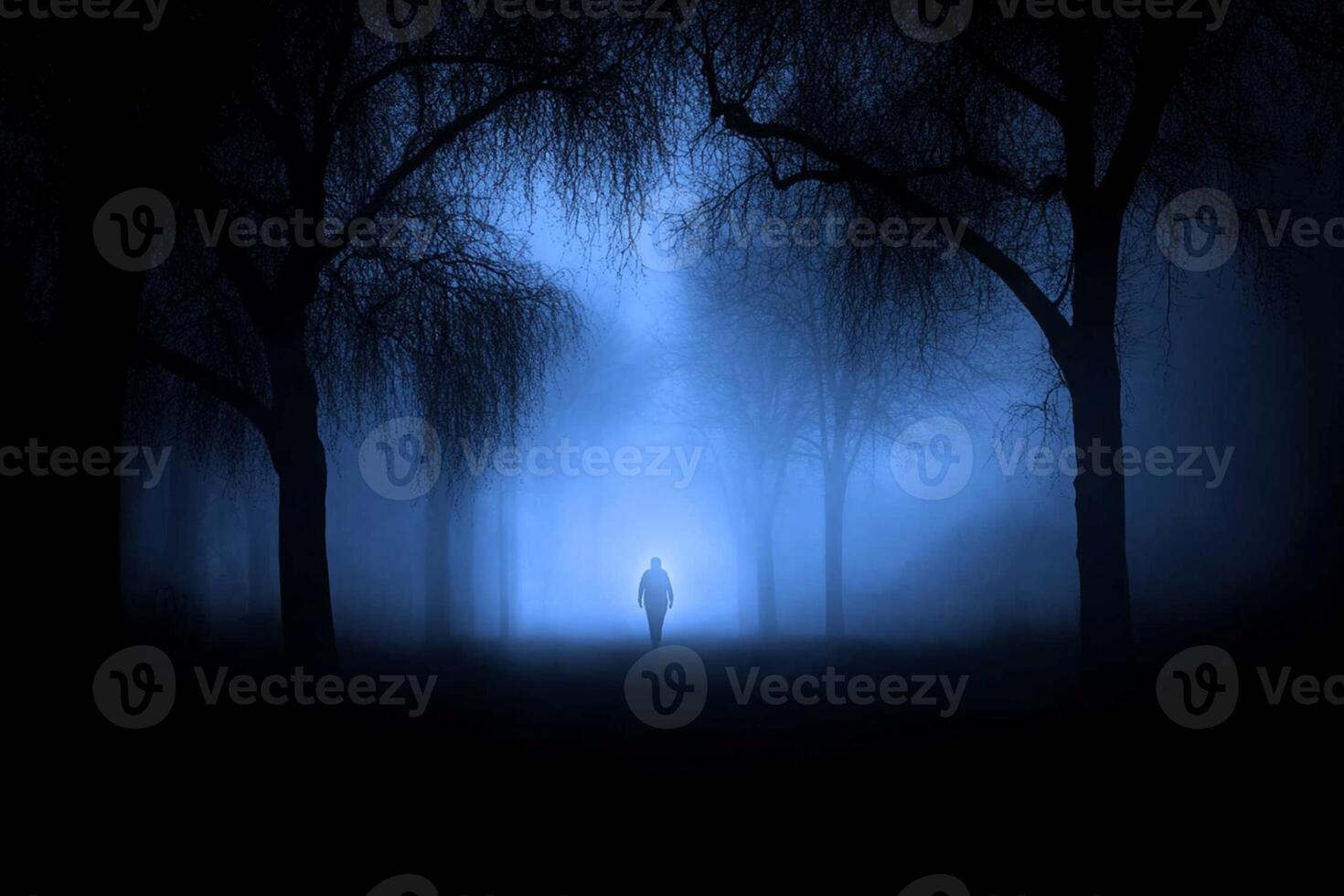 A person walking through a dark forest at night photo