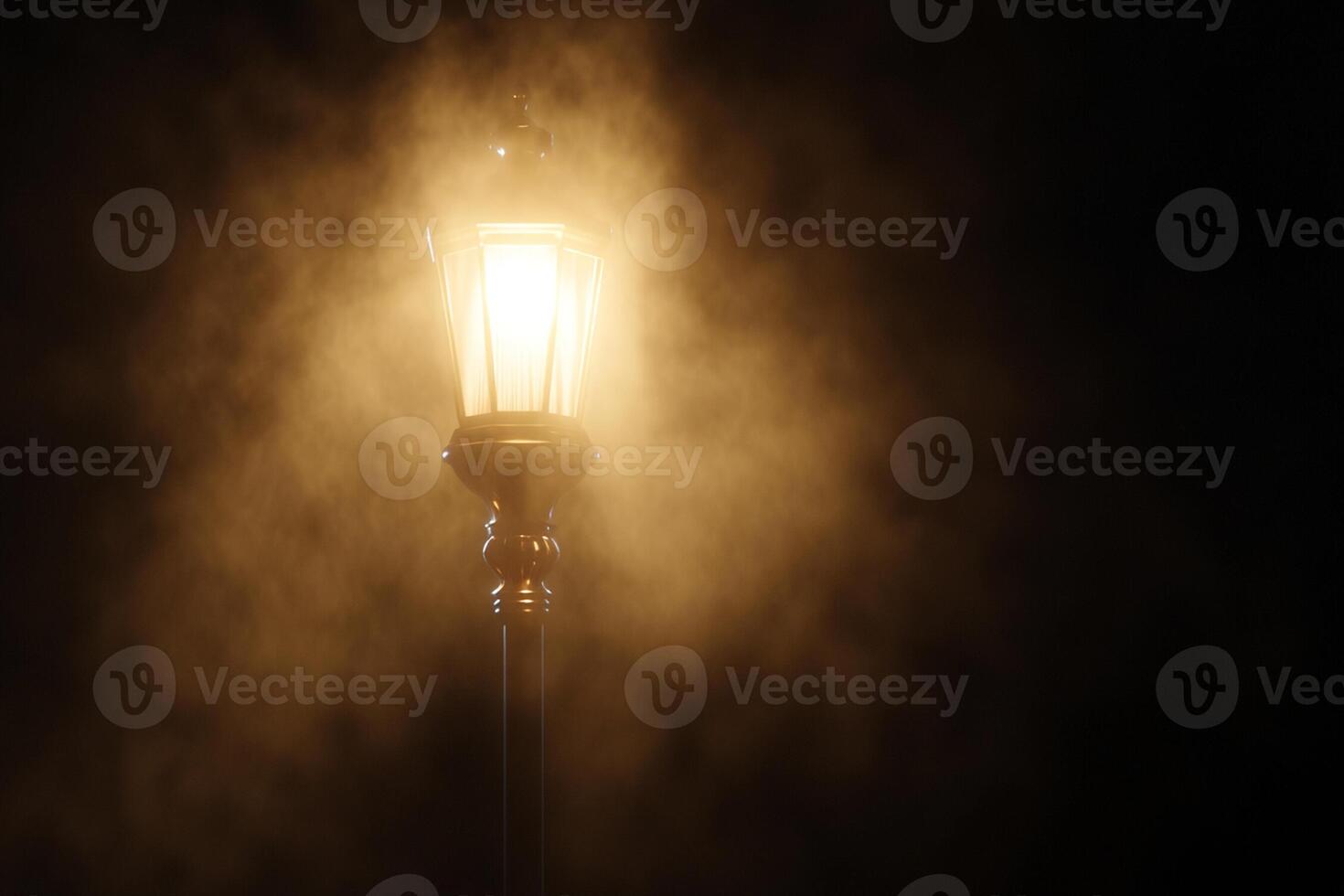 A street light is lit up in the dark photo