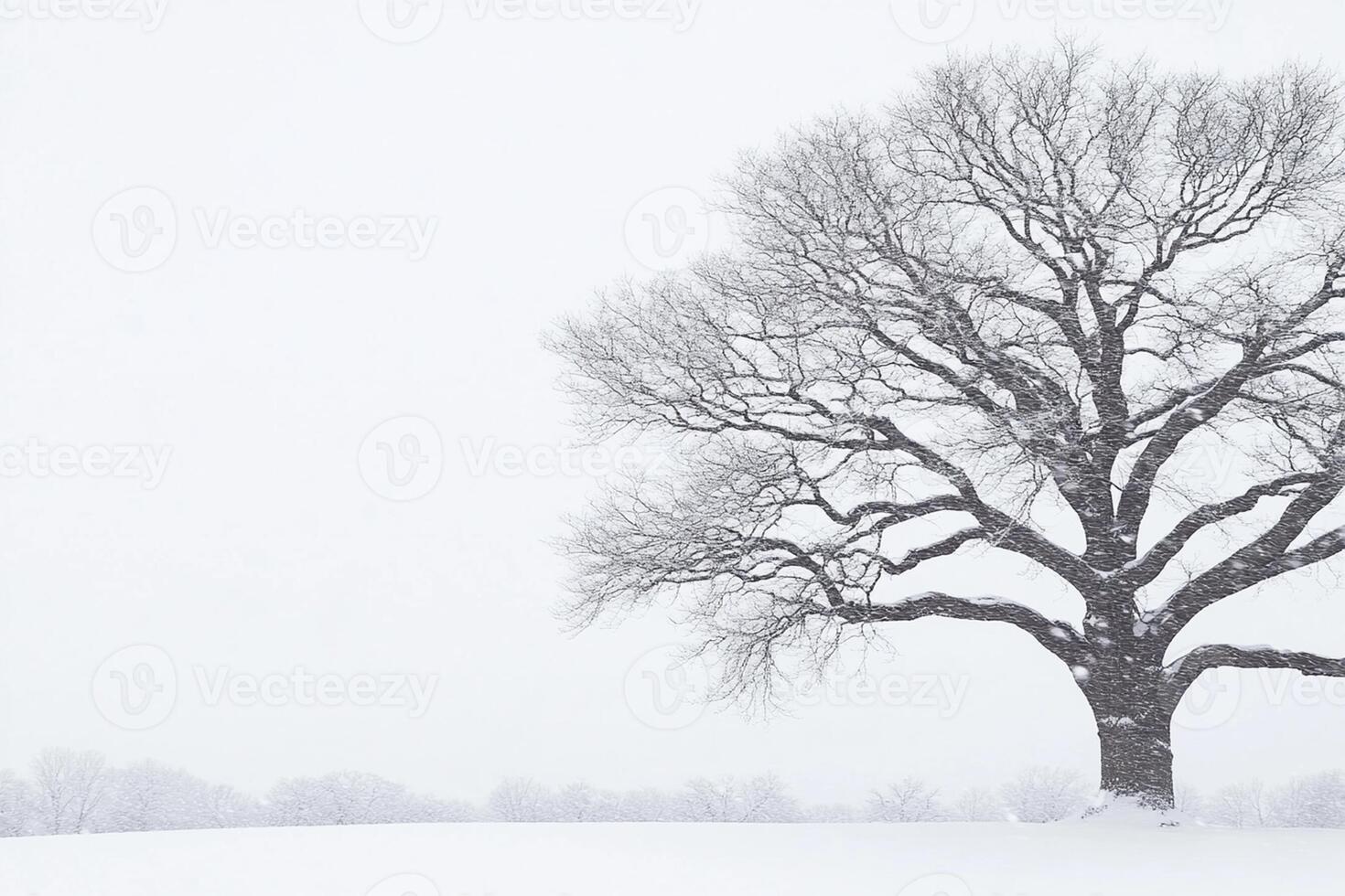 A lone tree stands in a snow covered field photo