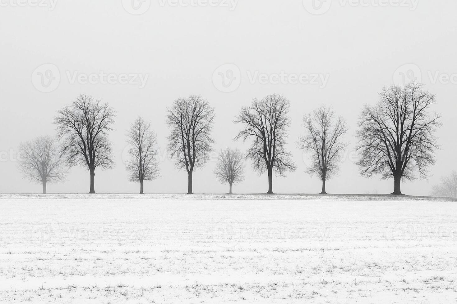 A black and white photo of trees in a snow covered field