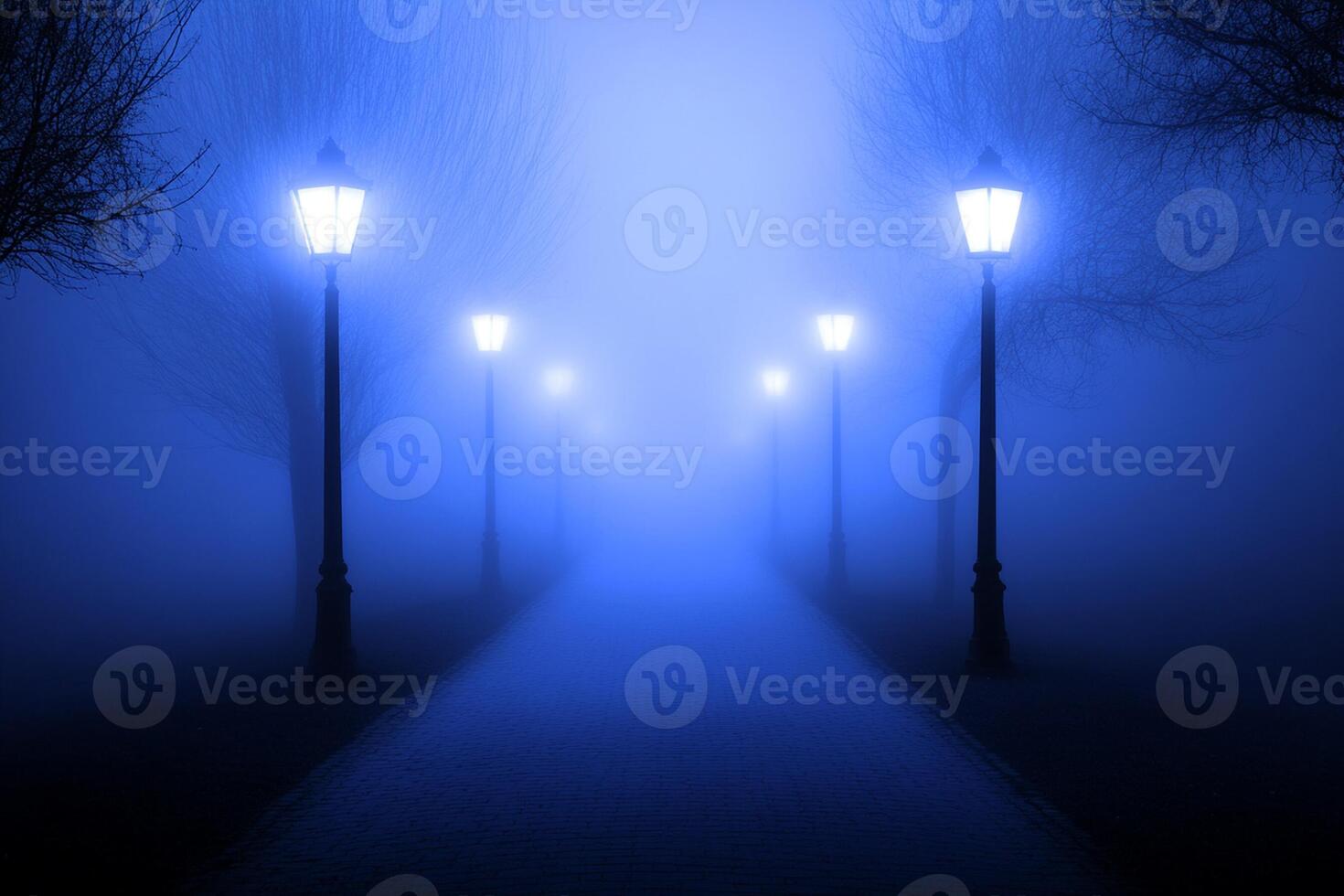A dark street with street lights and trees photo