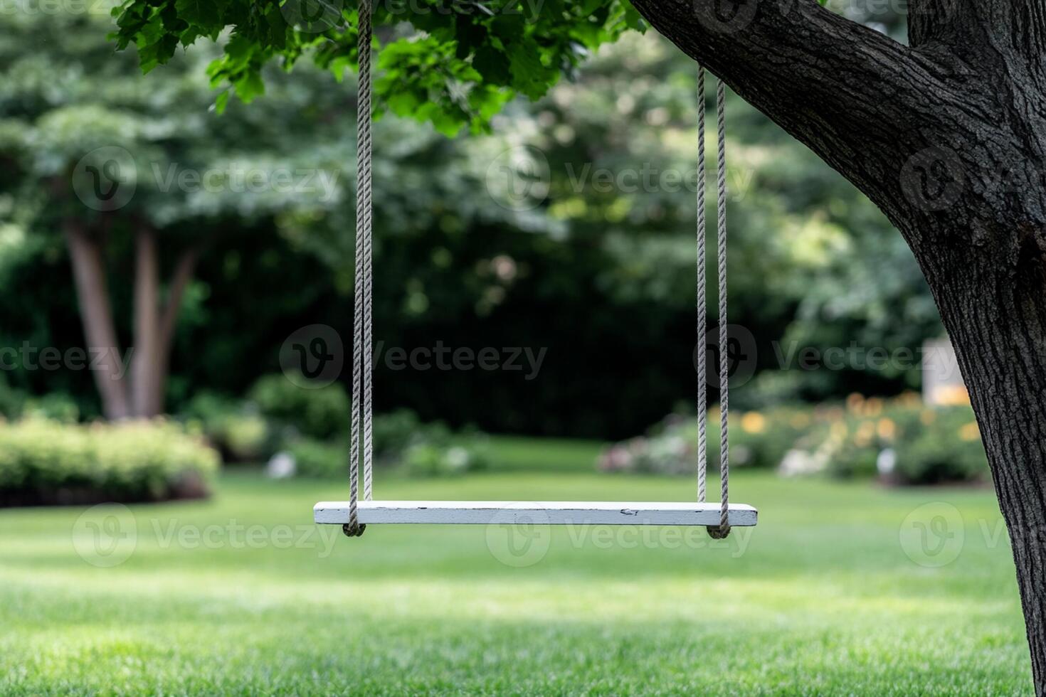 A swing hanging from a tree in a grassy field photo