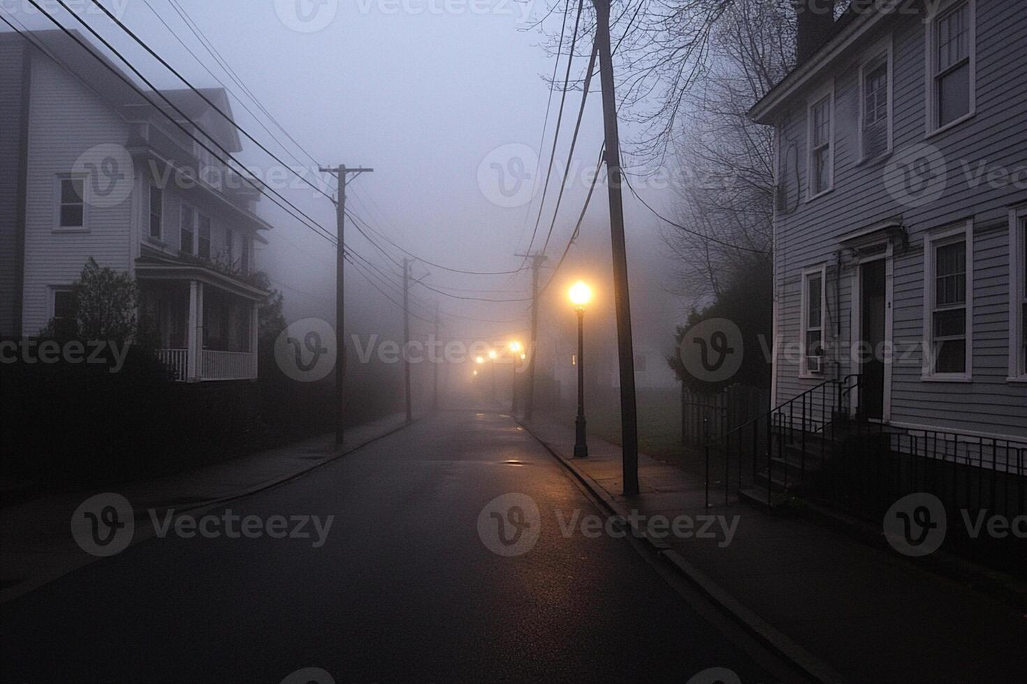 A street with a street light and a few houses photo
