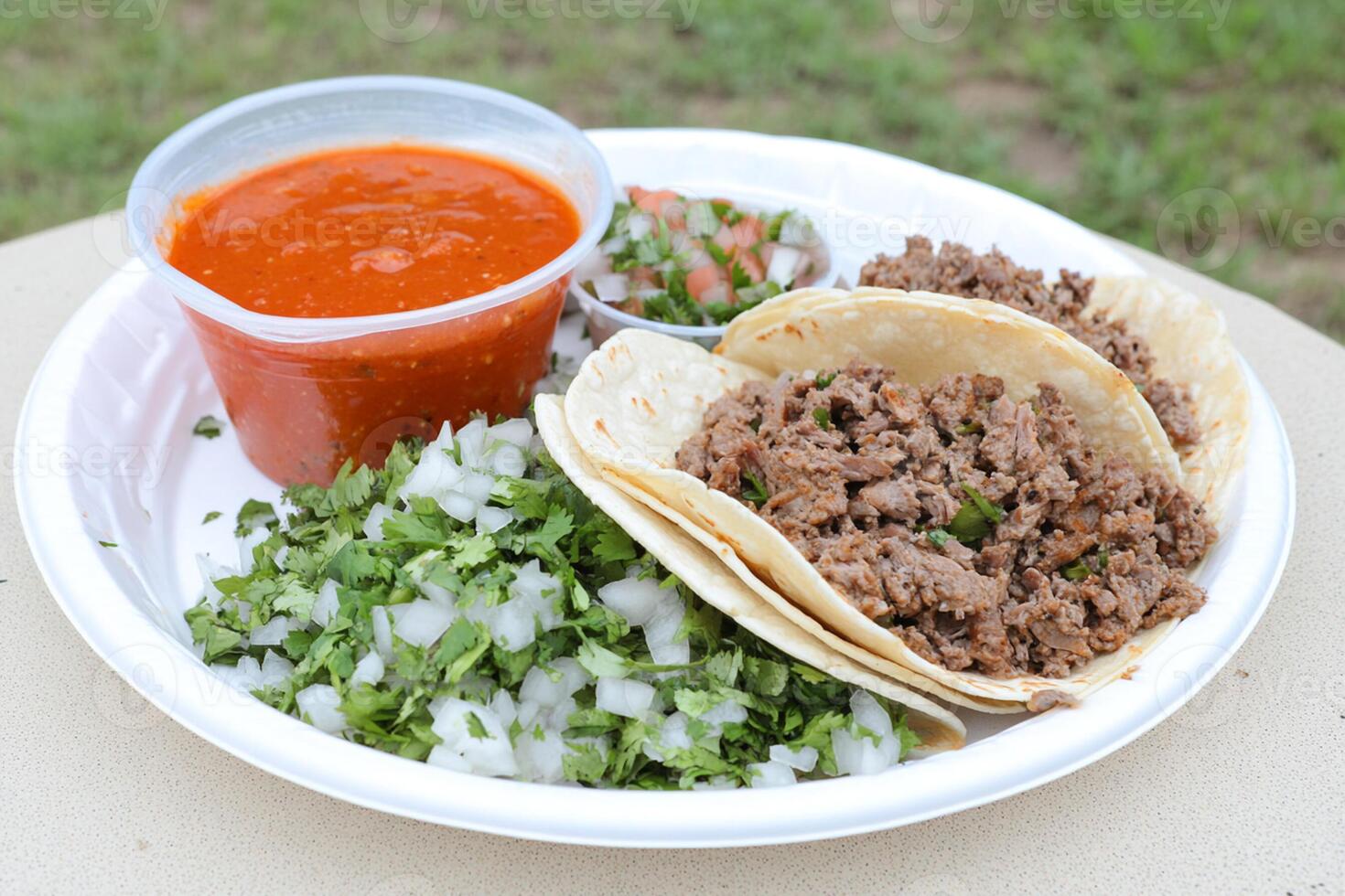 A plate of food with a side of salsa photo