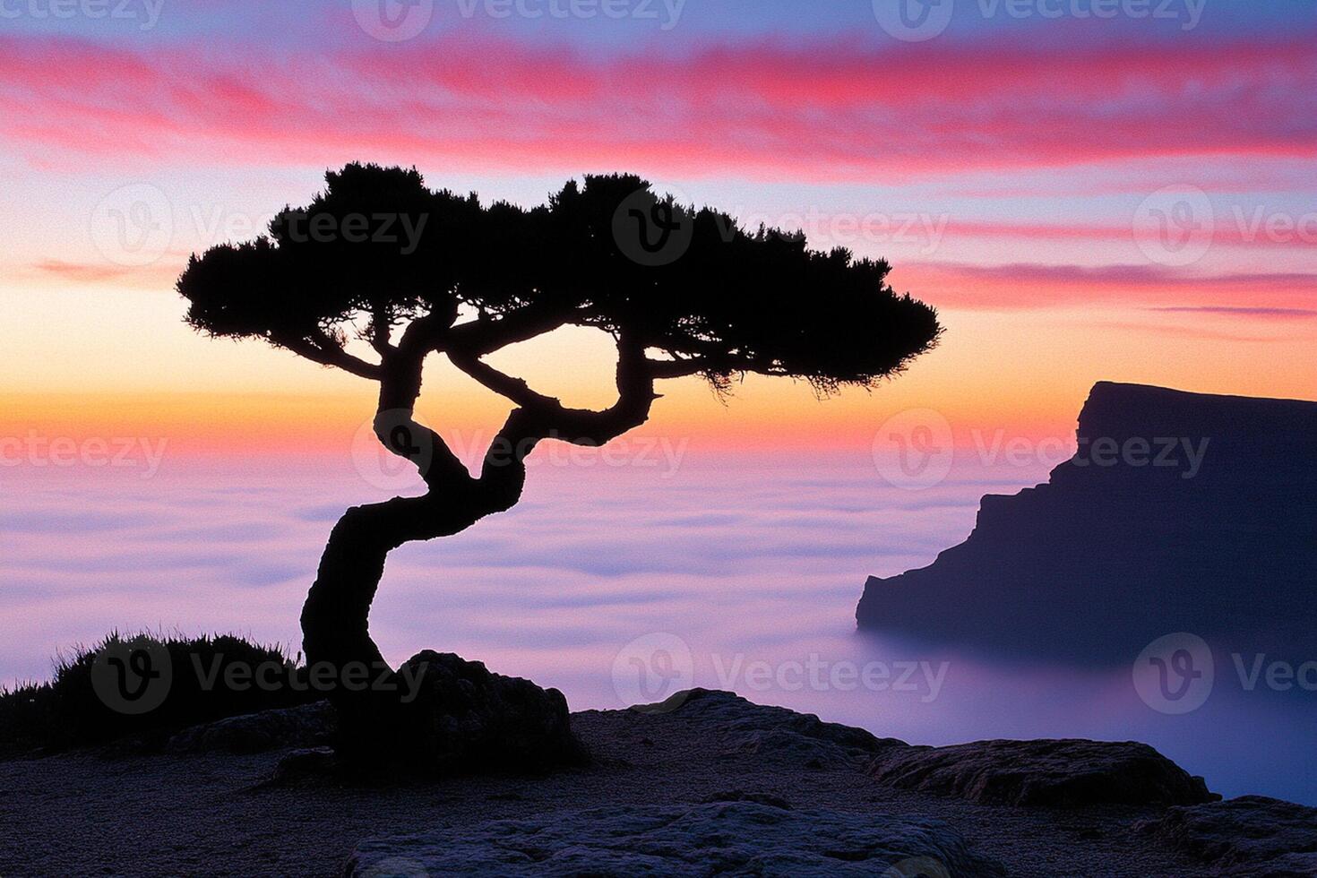 A lone tree on a cliff overlooking the sea photo