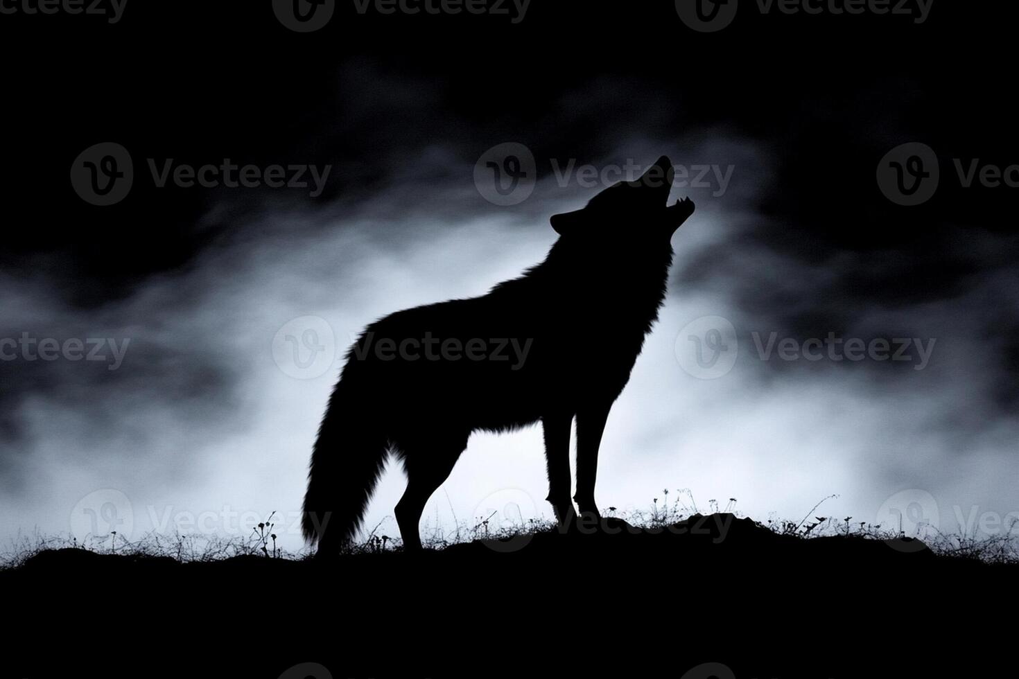A lone wolf howling in the dark at night photo