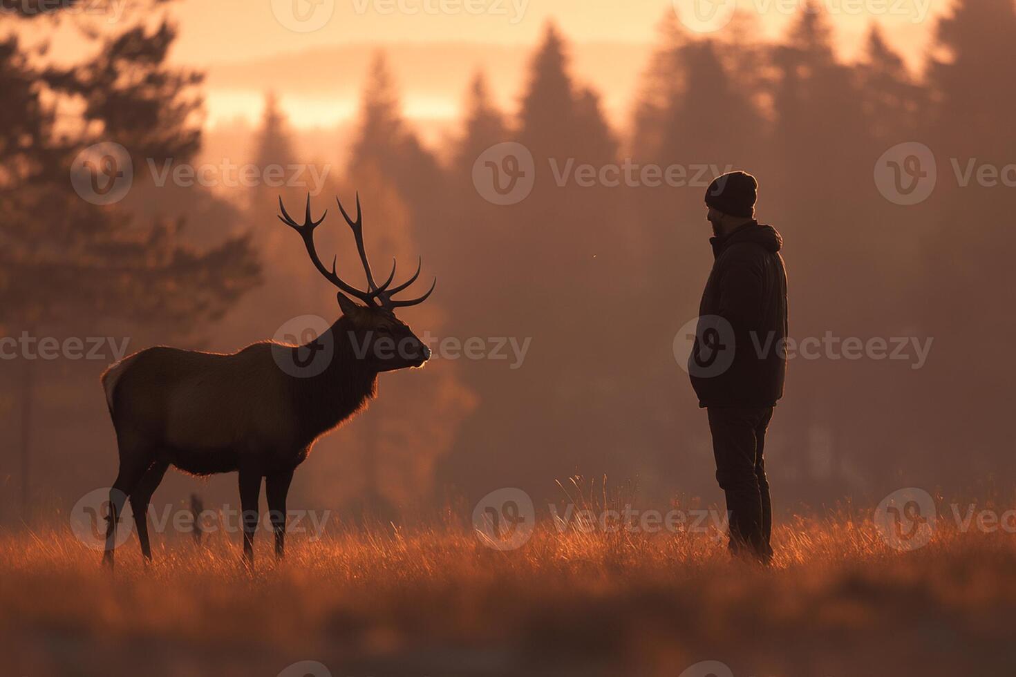 A man standing in front of a deer in a field photo