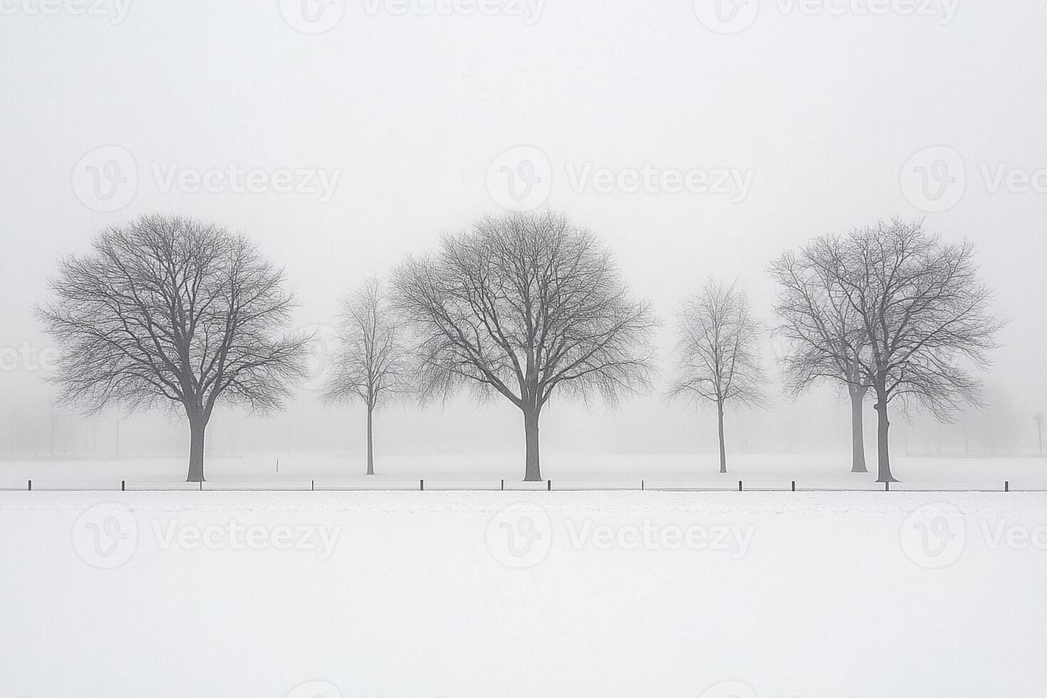 Four trees in a snow covered field photo