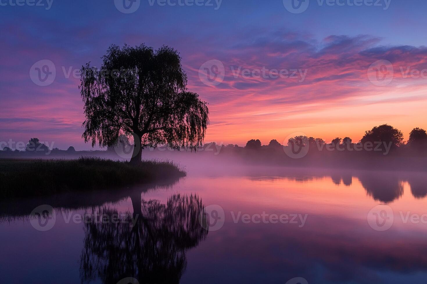 A tree is reflected in the water at sunrise photo