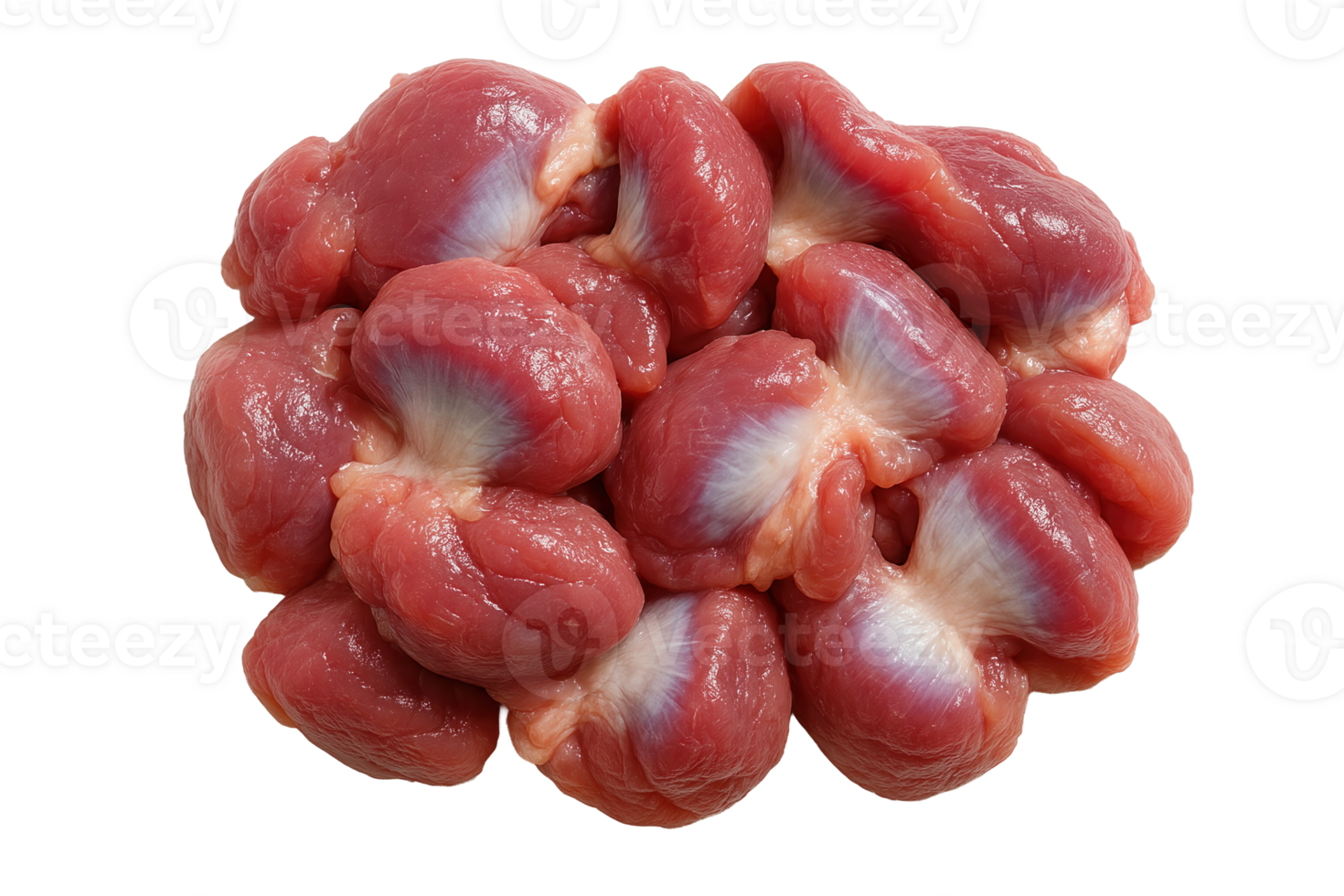 Fresh Raw Chicken Gizzards for Cooking and Hearty Dishes Ideal for Stewing Frying or Soups Nutritious Organ Meats on a Transparent Background in Stock Photography png