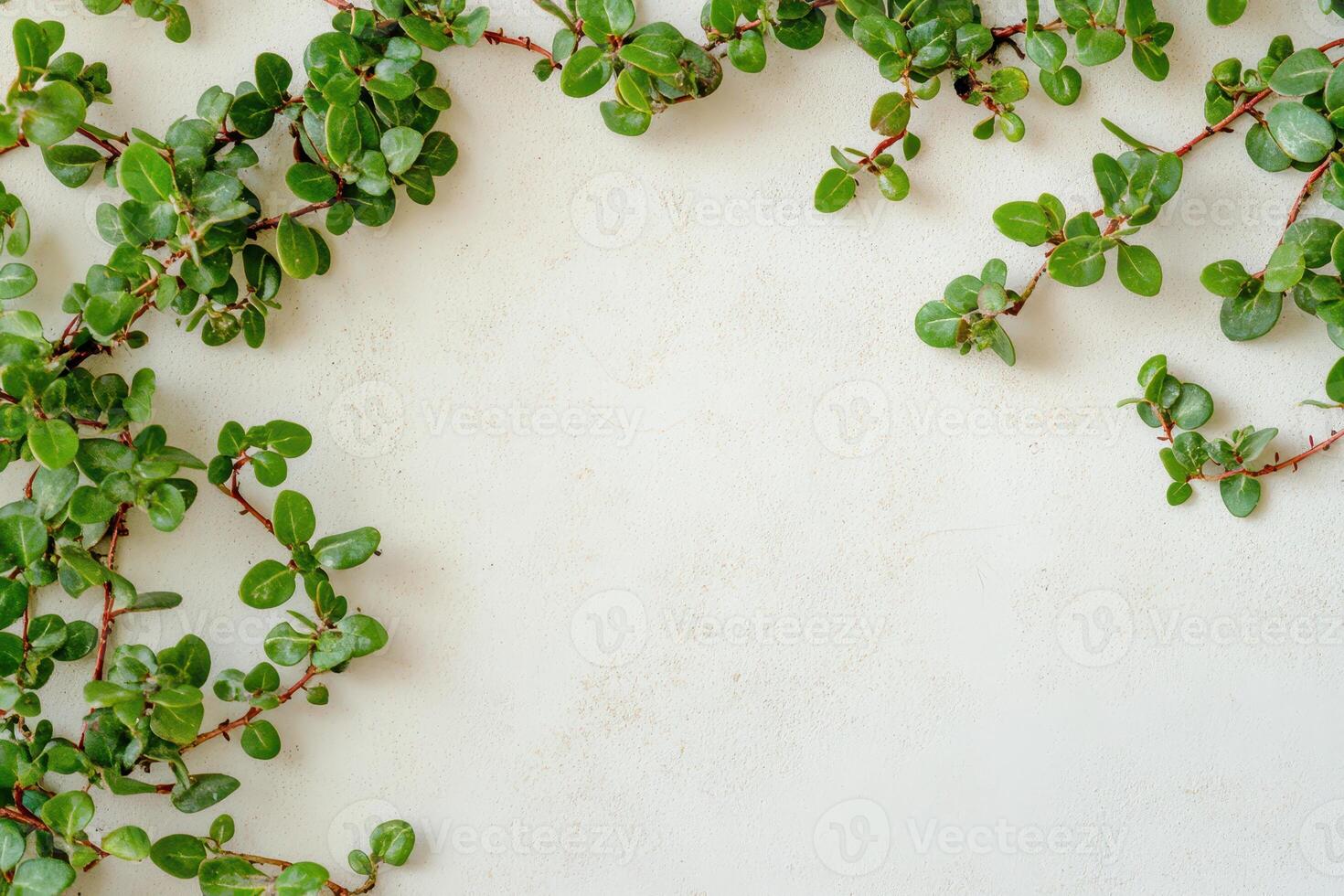 Green leafy branches arranged on a light surface photo