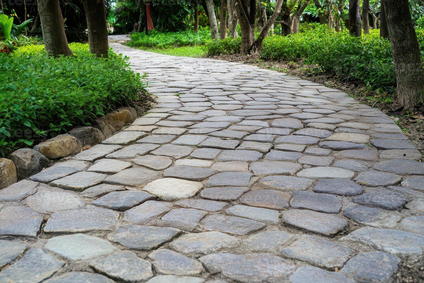 Nature trail with cobblestone pathway in a garden photo