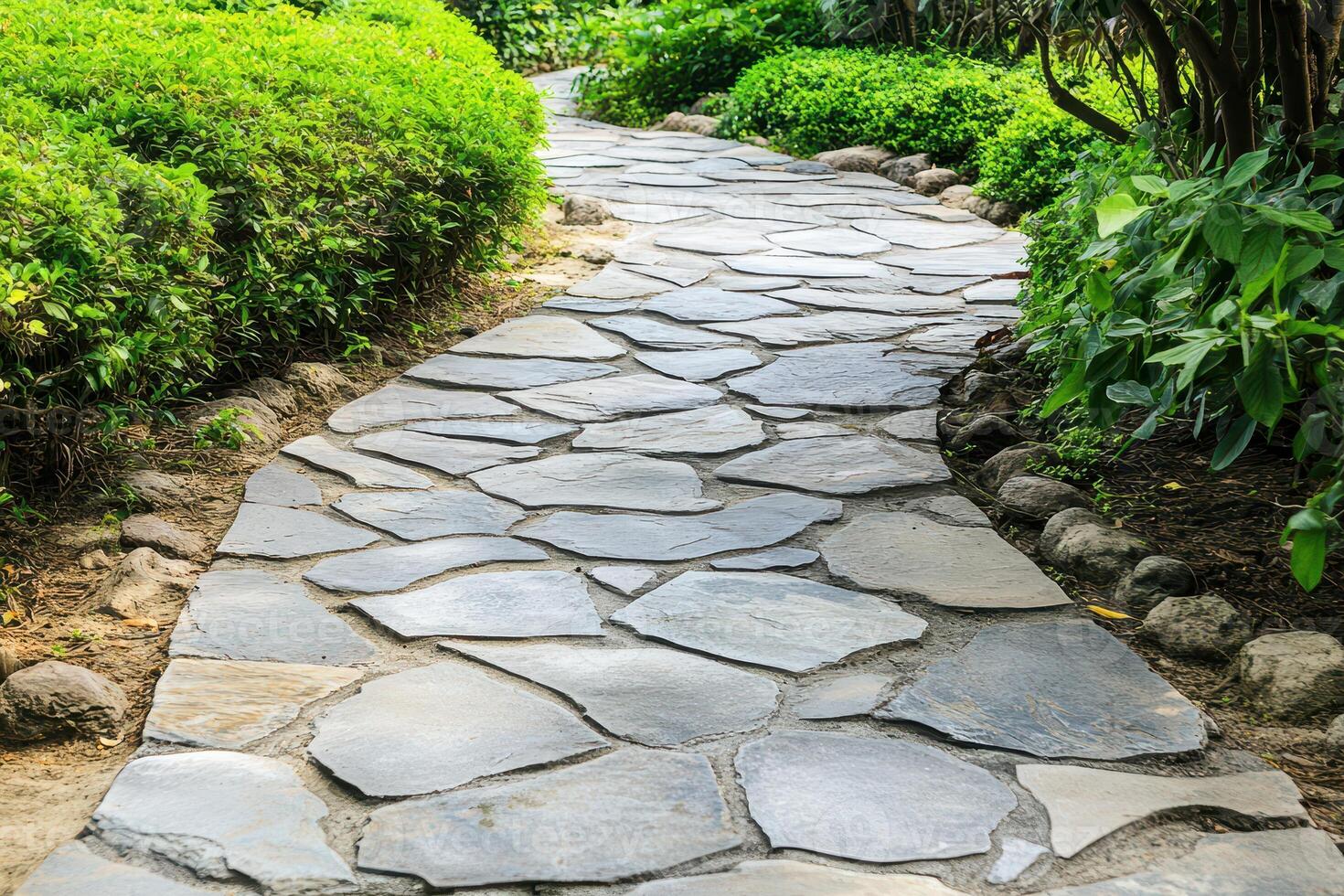Winding stone pathway through a lush garden area photo
