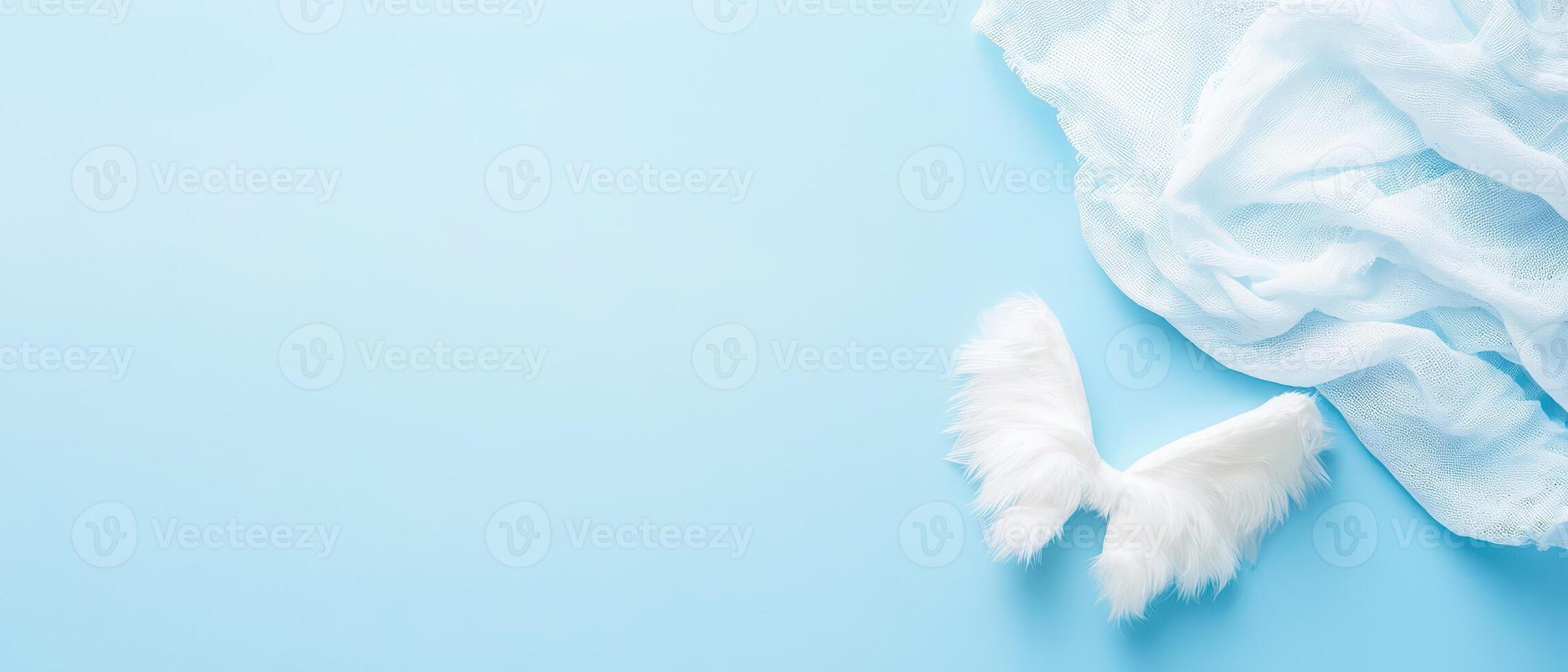 White wings on blue backdrop photo