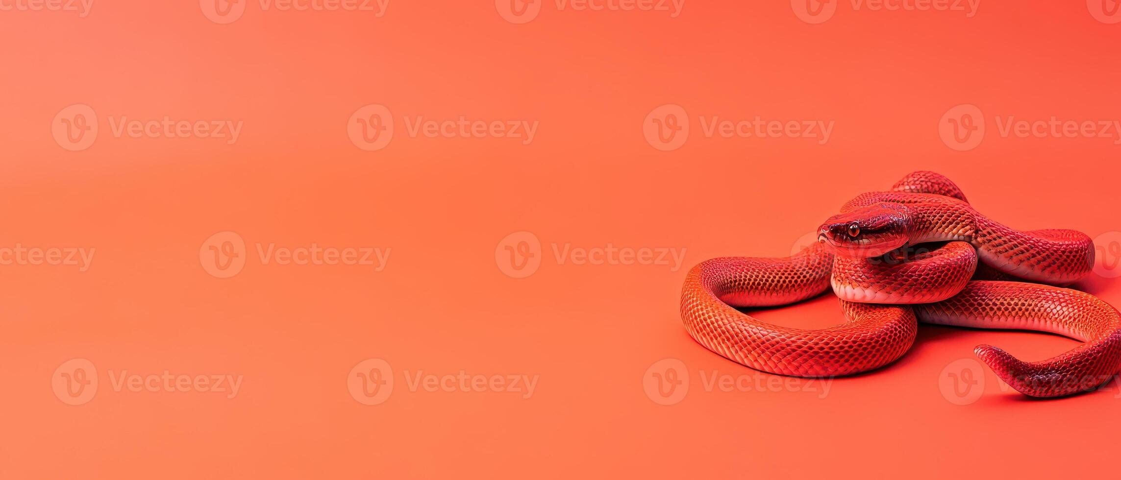 Elegant snake resting on vibrant orange background photo