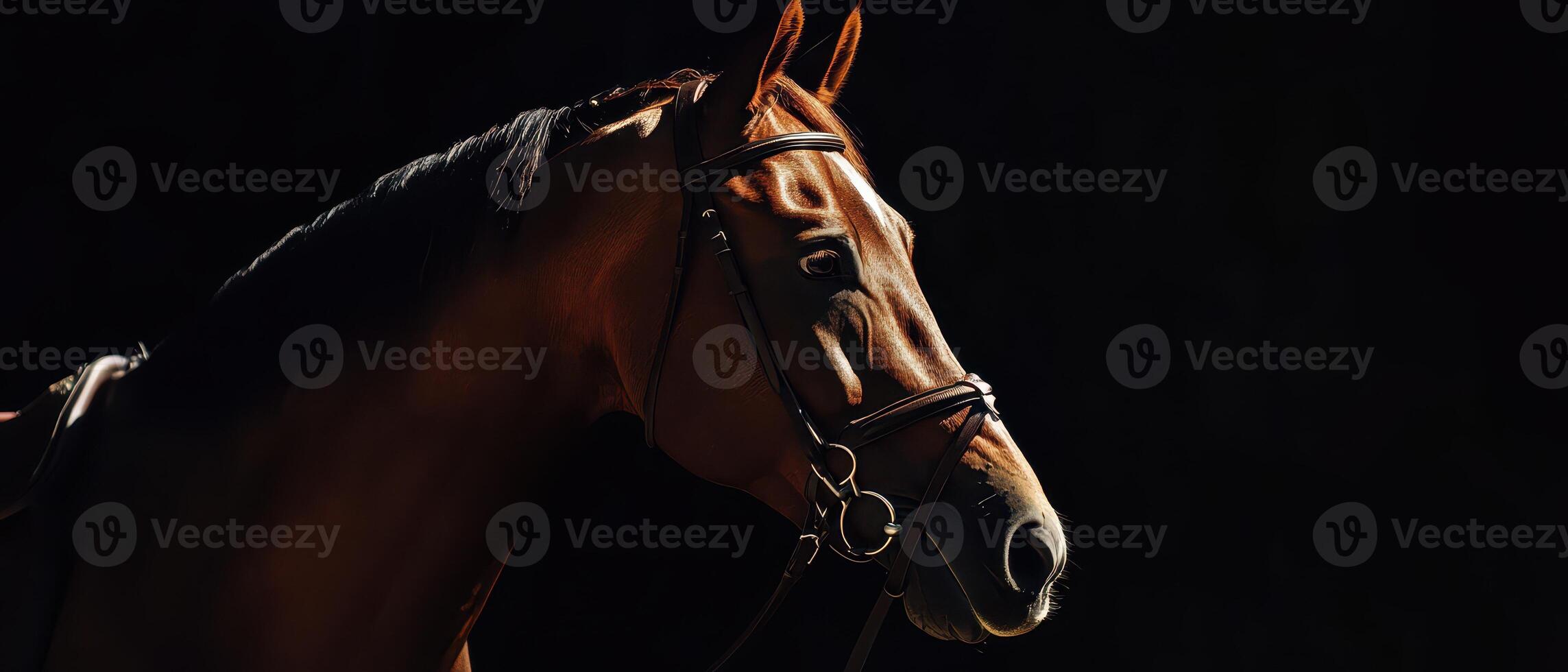 Majestic horse in soft light at stable photo