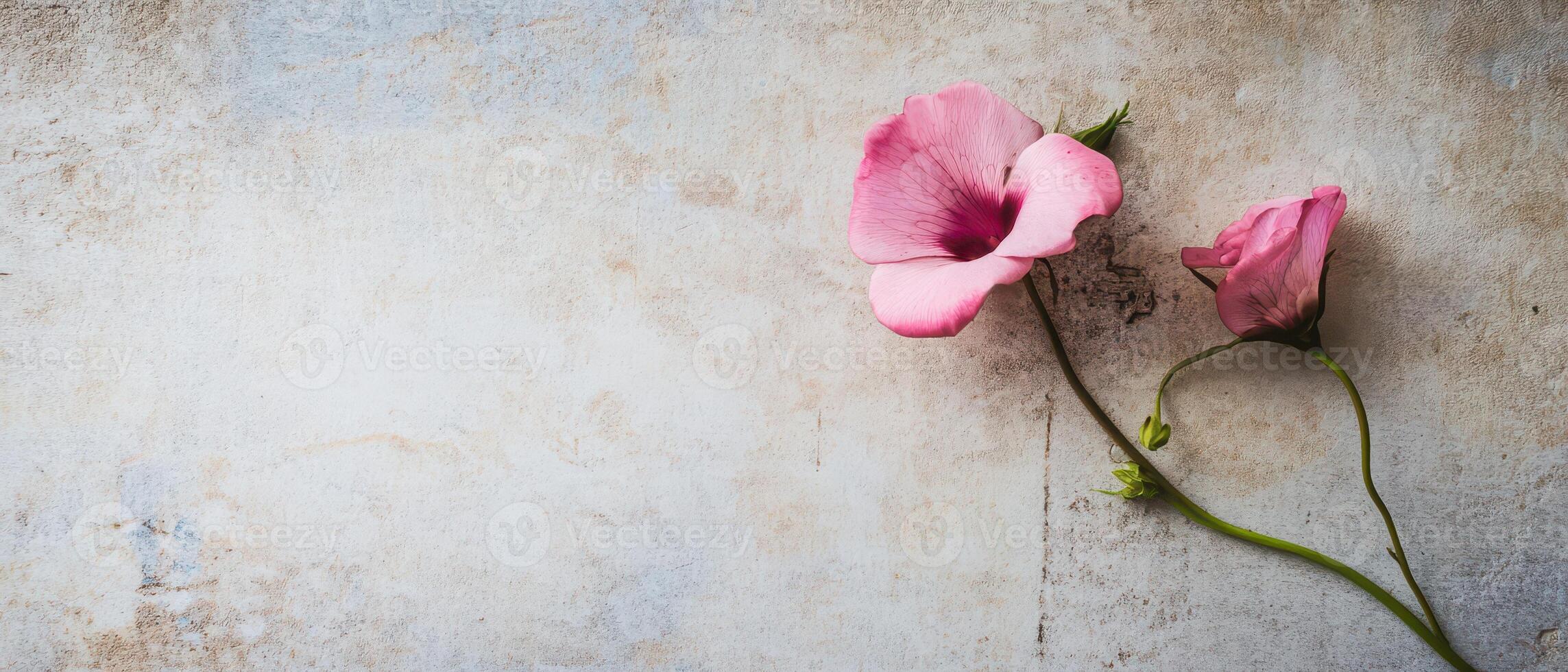 Delicate pink flowers on textured surface photo