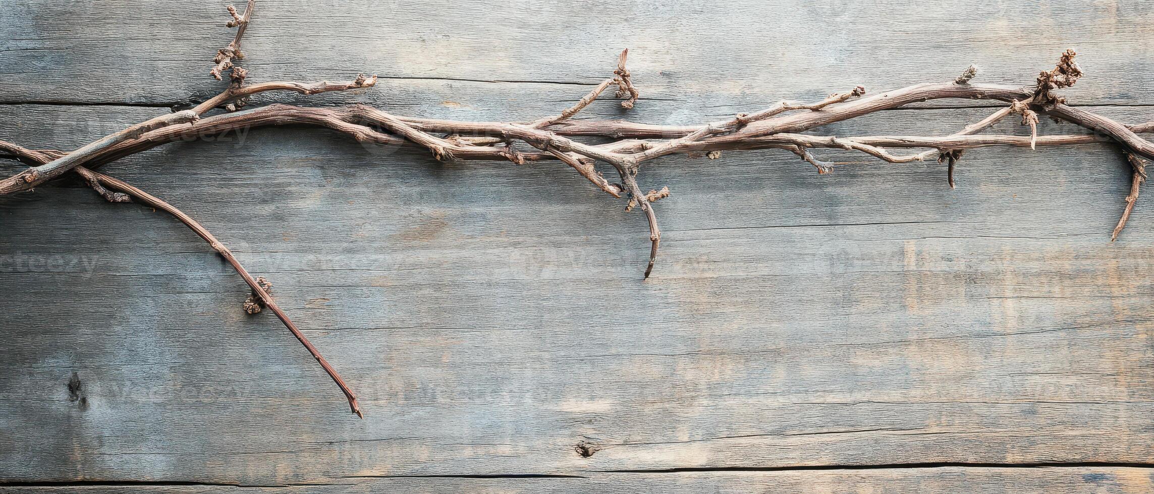 Dry twigs resting on a weathered wooden surface photo