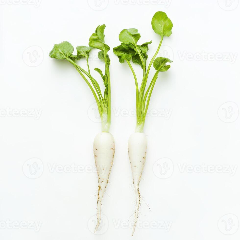 Radishes with green leaves on white photo