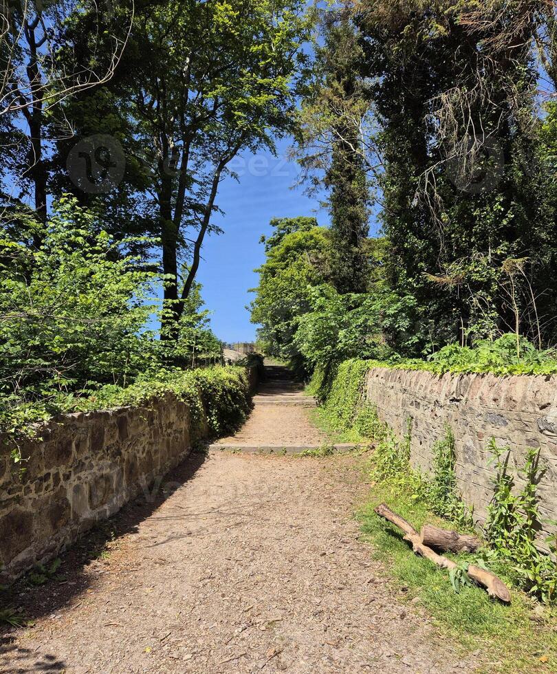 peaceful forest path with stone walls and lush greenery photo