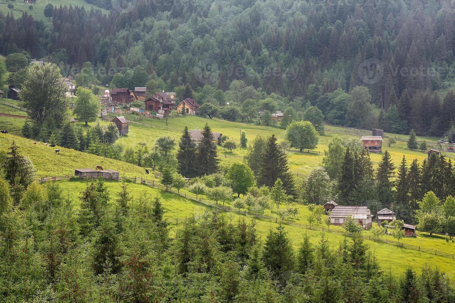 Landscape of the Carpathian village against the background of mountains photo
