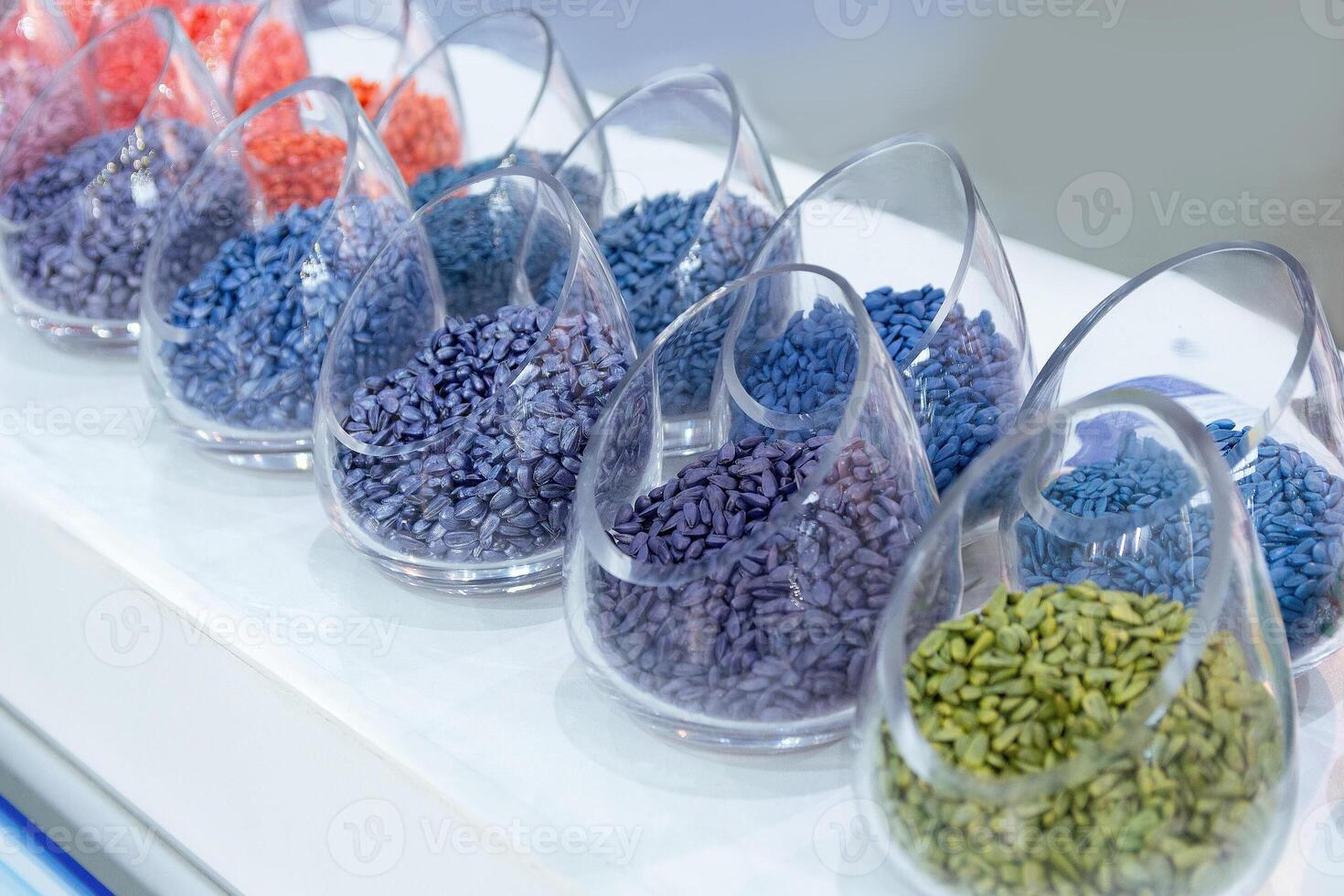 Multicolored seeds on the exhibition stand. Plant photo