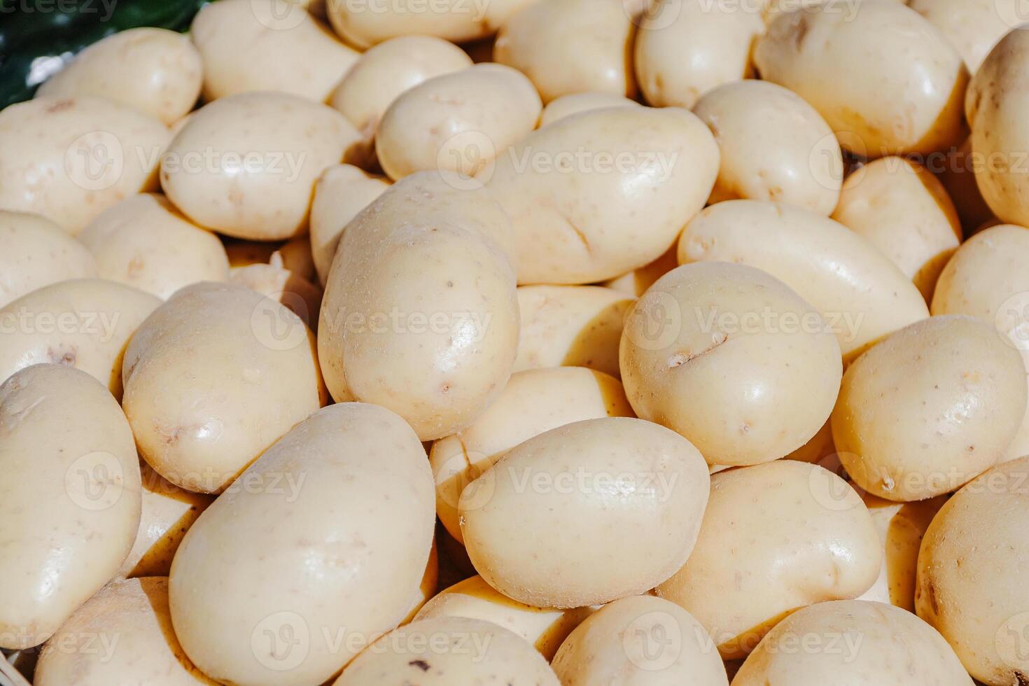 A close-up of clean, fresh potatoes displayed at a local outdoor market under daylight. Their smooth, polished skin and natural lighting highlight freshness and quality, ideal for use in culinary photo
