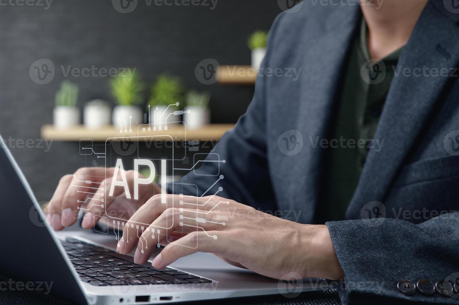 Professional Developer Working on API Integration and Programming Interface photo