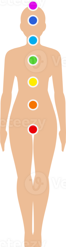 Seven Chakras illustration png