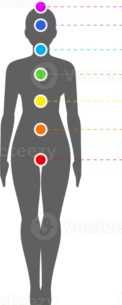 Infographic illustration of Seven Chakras png