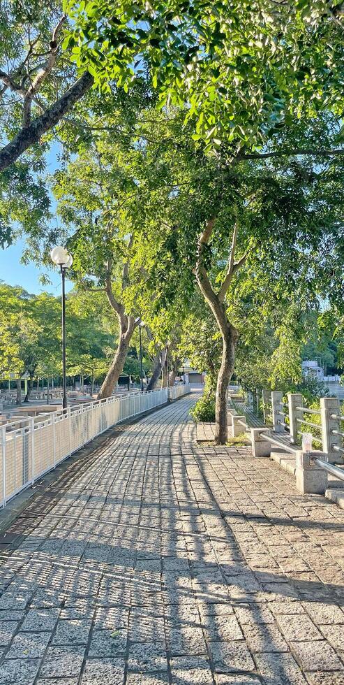 Vertical jogging and running stone outdoor track with green plants and tree photo