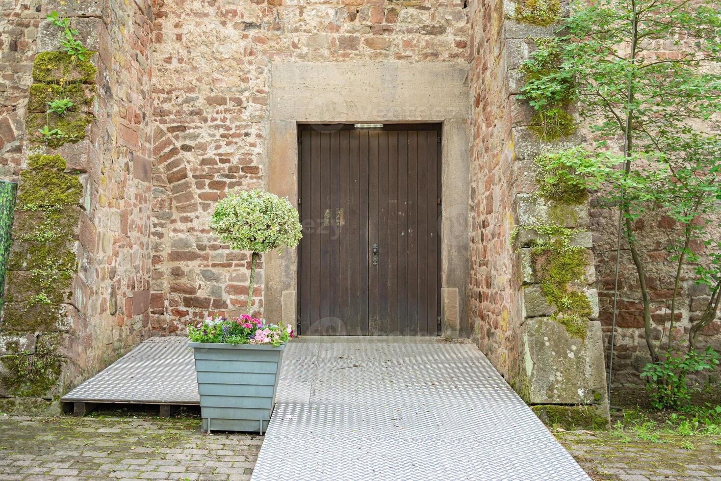 Rustic Wooden Doorway with Potted Plant photo