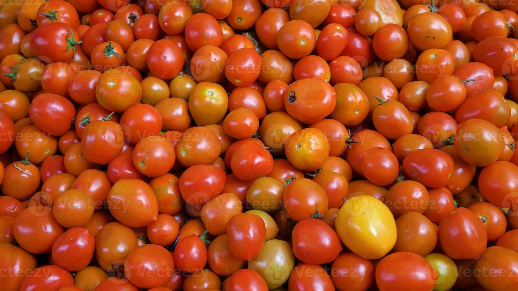 Full frame close-up of numerous small, round cherry tomatoes in various shades of red and orange, highlighting their fresh and healthy appearance photo