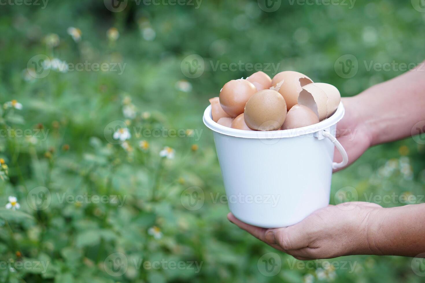 Hand holding bucket of eggshells in garden, ready to be used for composting. Concept food waste management, promoting eco friendly practices and sustainable gardening to enrich the soil naturally photo