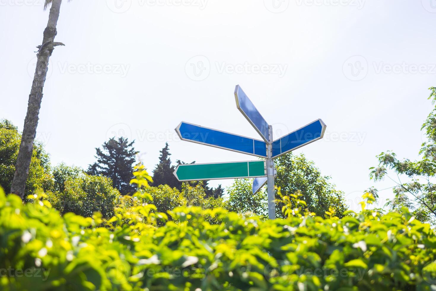 Empty directional signpost above green foliage on sunny day. Concept of navigation, choices, travel destinations, and outdoor exploration. photo