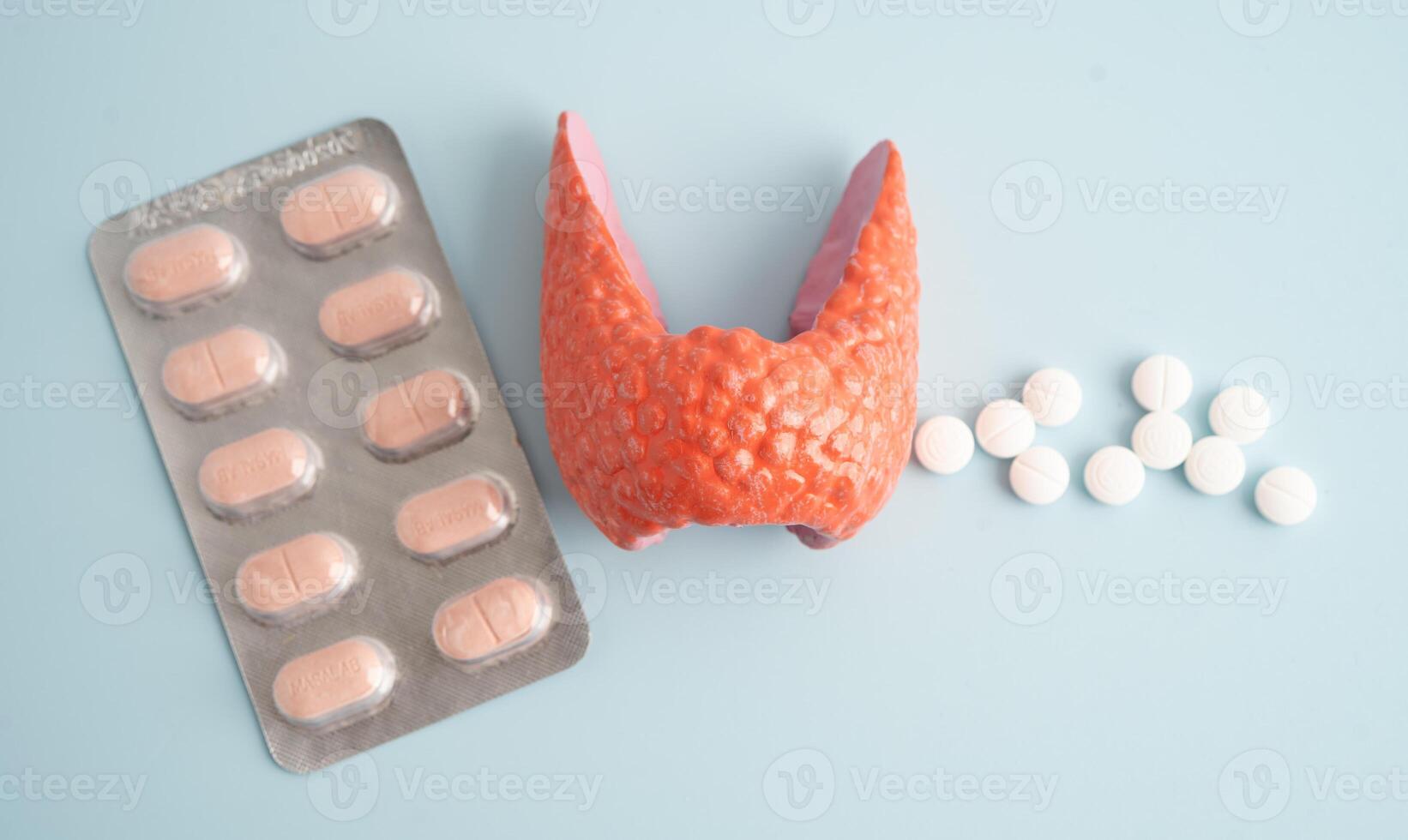 Thyroid model with pill drug treatment, Hyperthyroidism photo